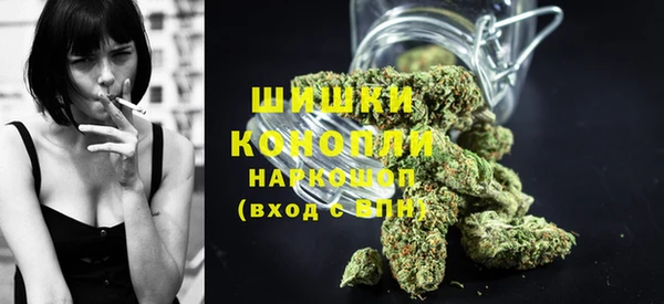 соль ск Белокуриха
